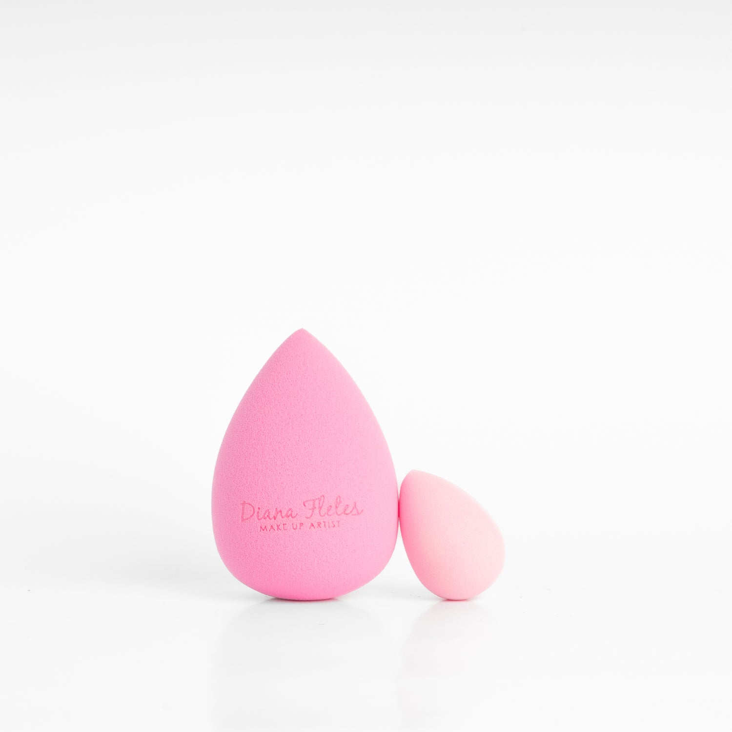 Esponjas Diana Fletes