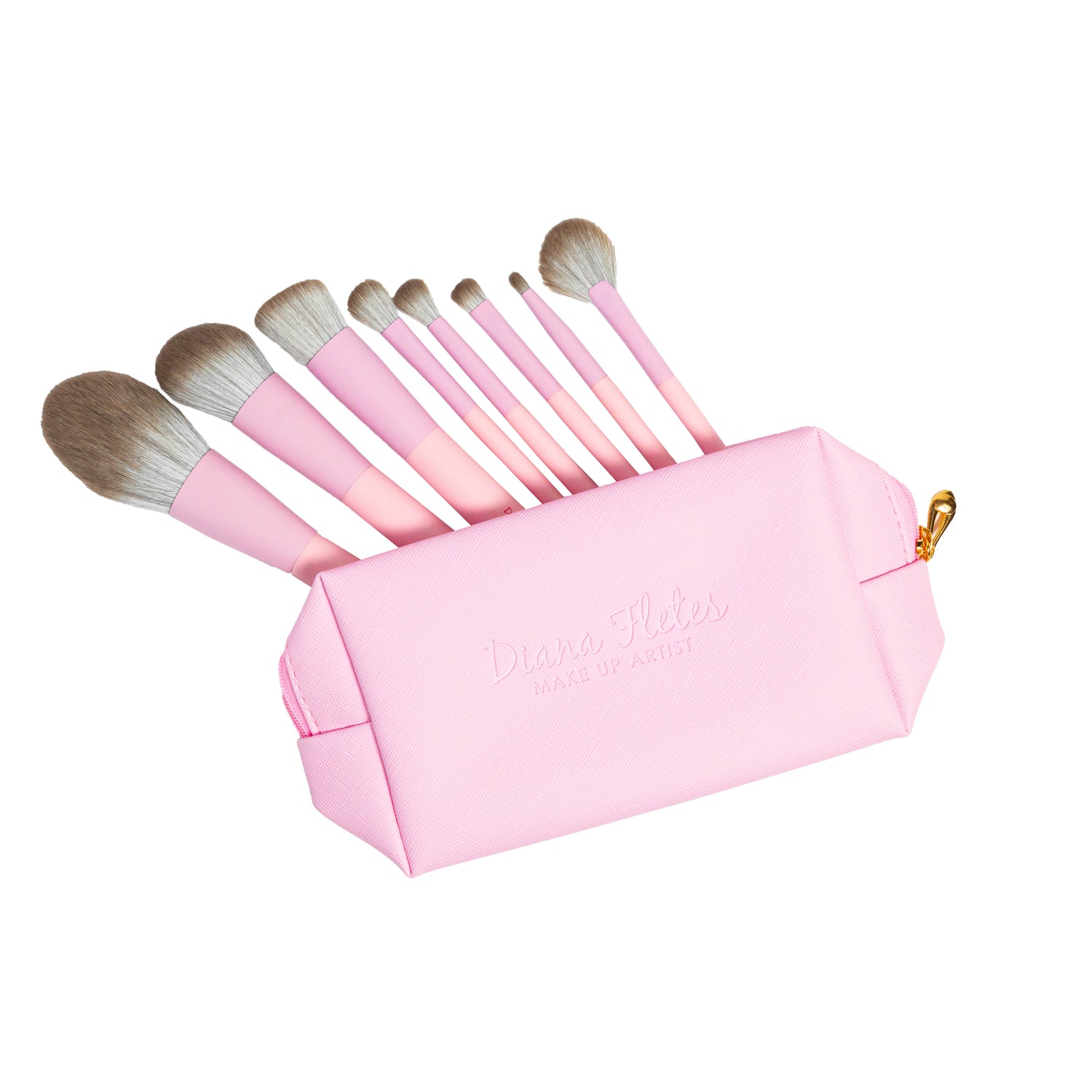 Set De 8 Brochas Profesionales (Incluye Estuche)