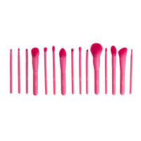 Set de 15 Brochas Pink Profesionales